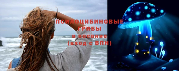 героин Алексин