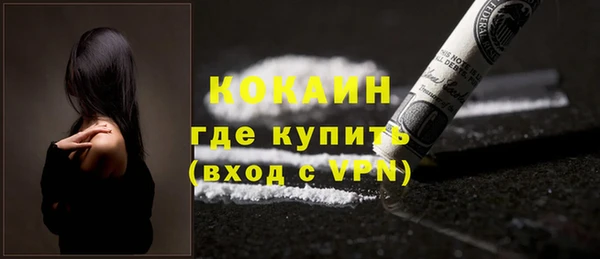 хмурый Алзамай