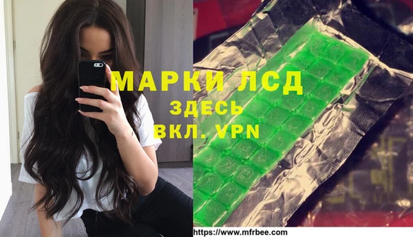 хмурый Алзамай