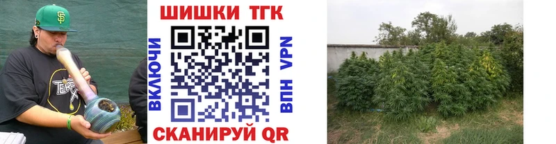 купить закладку  Куйбышев  Бошки марихуана Ganja 